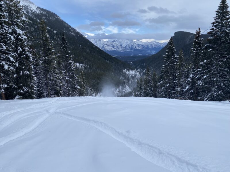 Mount Norquay, Banff. Image © PlanetSKI